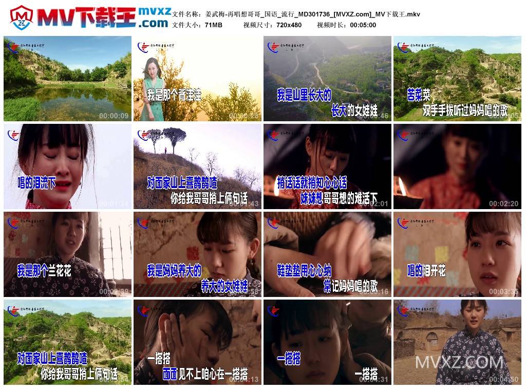 姜武梅-再唱想哥哥_国语_流行_MD301736
